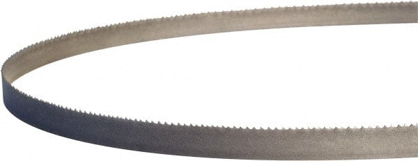 Portable Bandsaw Blade: 2' 11-3/8