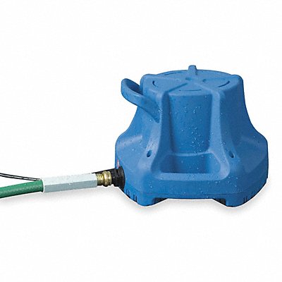 Example of GoVets Pool and Spa Pumps category