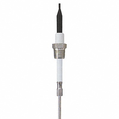 Liquid Probe 12 In 3/4 NPT 10 Ft Cable MPN:PHST34Q12