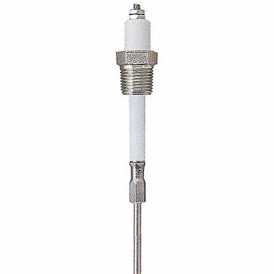 Liquid Level Probe 12 In 3/4 NPT MPN:PHST34Q12