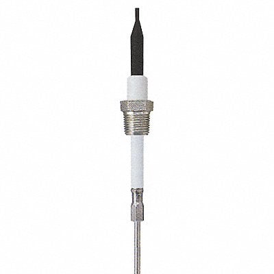 Liquid Probe 12 In 3/8 NPT 10 Ft Cable MPN:PHST38Q12