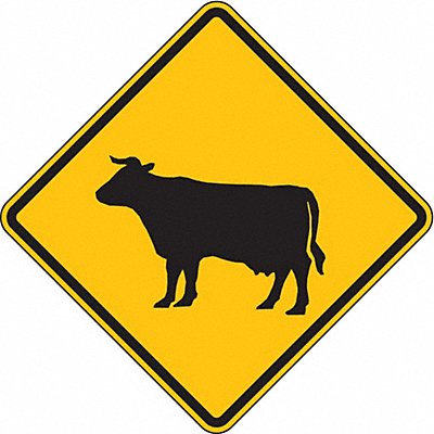 Cattle Crossing Traffic Sign 24 x 24 MPN:W11-4-24DA