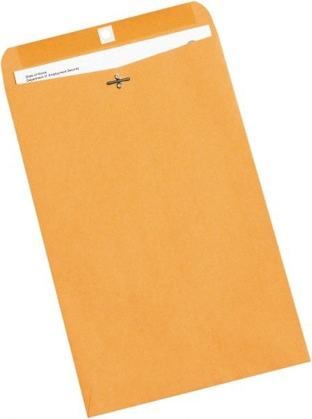 Brown Kraft Mailing Envelope: 9-1/4