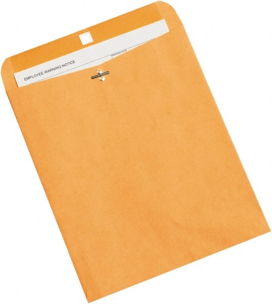 Brown Kraft Mailing Envelope: 10