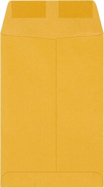 Brown Kraft Mailing Envelope: 6