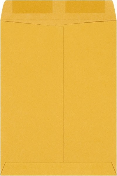 Brown Kraft Mailing Envelope: 9