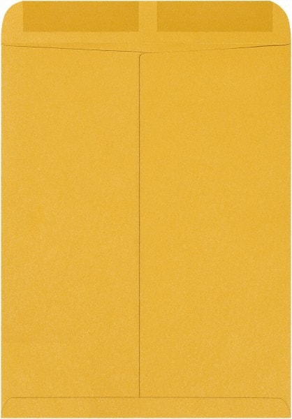 Brown Kraft Mailing Envelope: 12