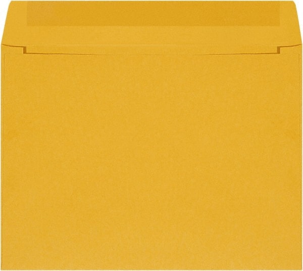 Kraft Catalog Mailing Envelope: 12