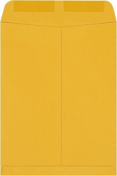 Brown Kraft Mailing Envelope: 9-1/2