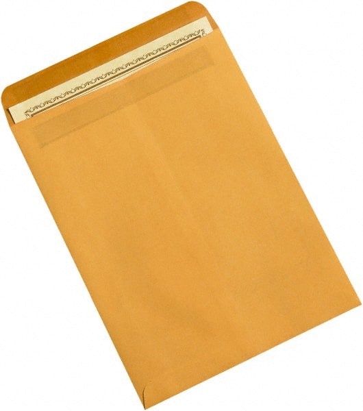 Natural Kraft Mailing Envelope: 9