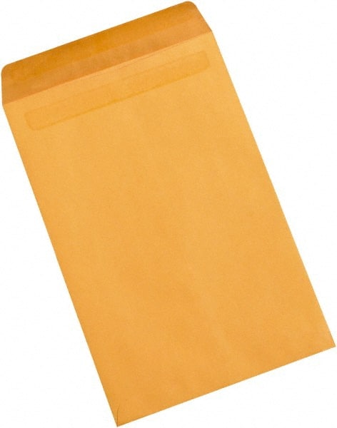 Natural Kraft Mailing Envelope: 10