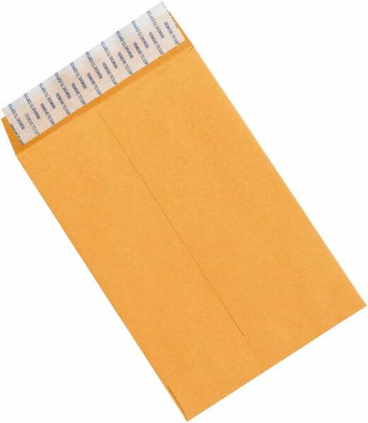 Natural Kraft Mailing Envelope: 6