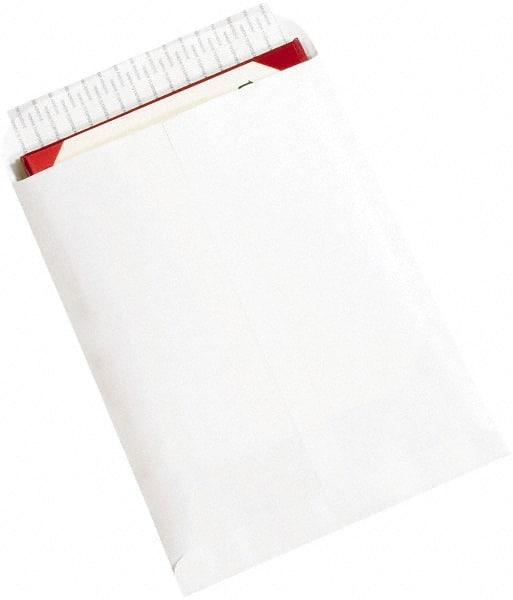 White Catalog Mailing Envelope: 9-1/2