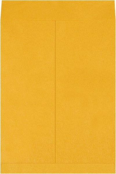 Jumbo Mailing Envelope: 15