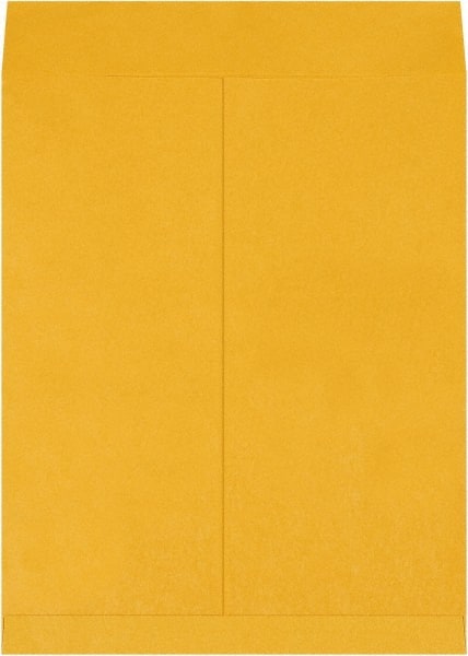 Jumbo Mailing Envelope: 16