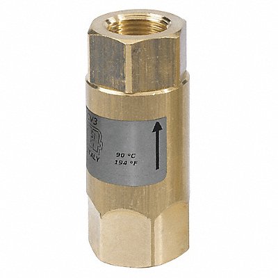 Spring Check Valve Brass Buna SS 3/8 MPN:CV3-40038