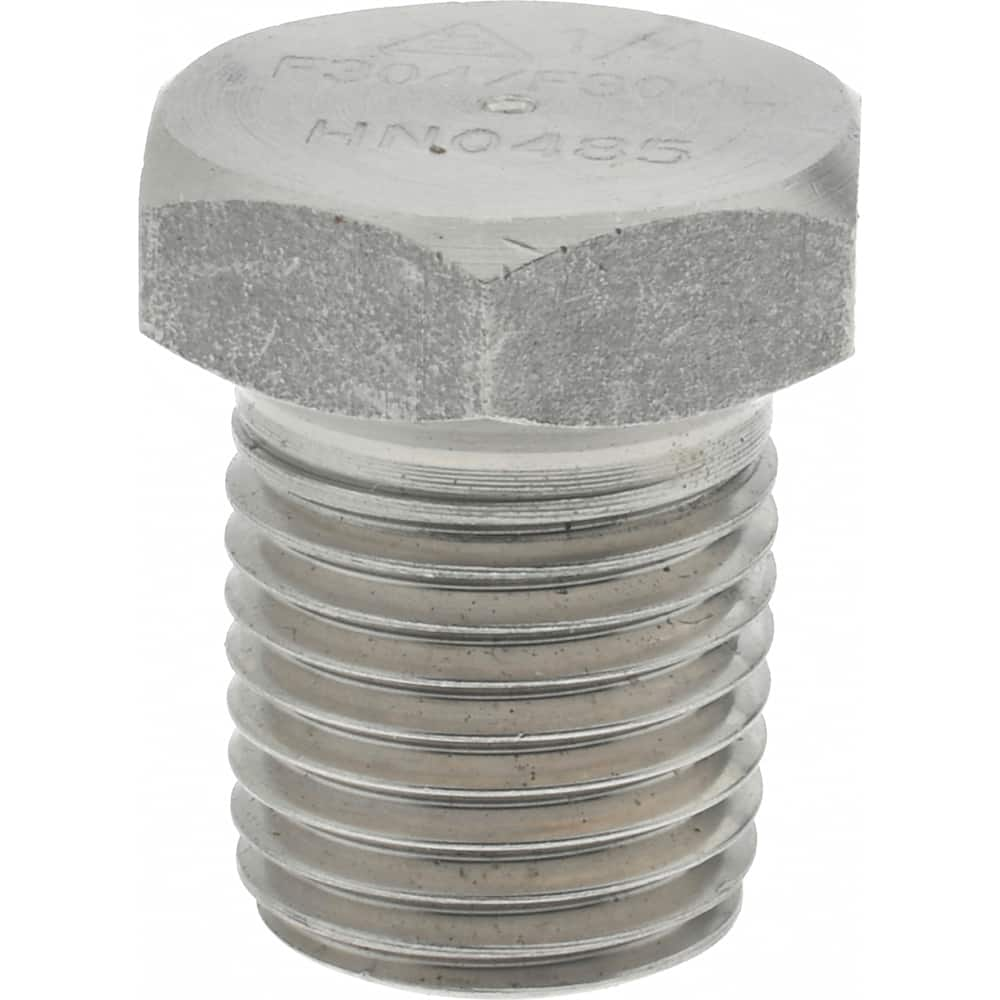 Pipe Hex Plug: 1/4