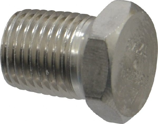 Pipe Hex Plug: 1/4