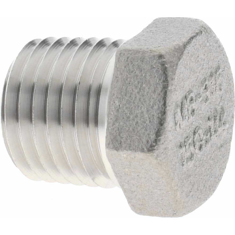 Pipe Hex Plug: 1/4