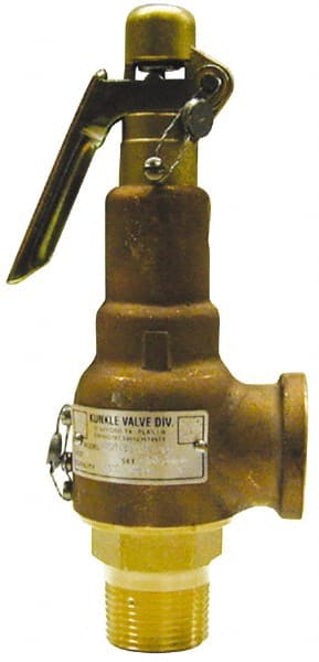 ASME Safety Relief Valve: 1/2