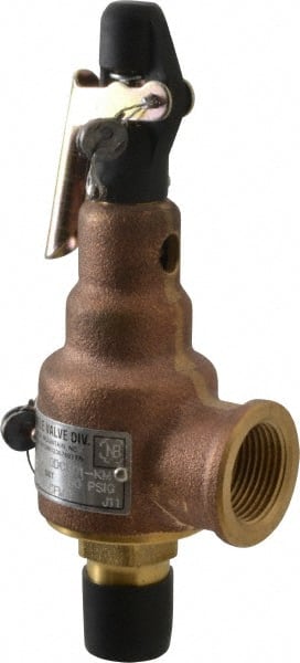 ASME Safety Relief Valve: 1/2