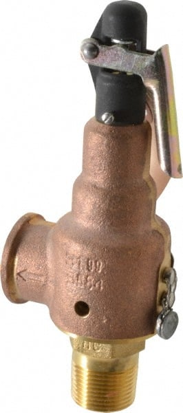 ASME Safety Relief Valve: 3/4