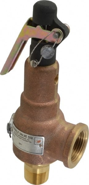 ASME Safety Relief Valve: 3/4