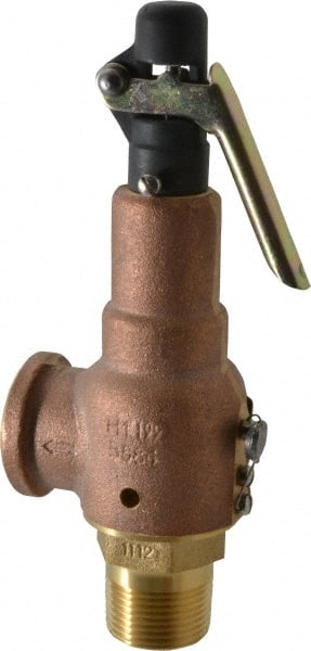 ASME Safety Relief Valve: 1