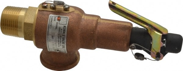 ASME Safety Relief Valve: 1