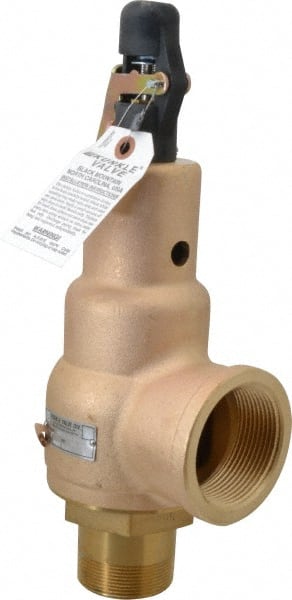 ASME Safety Relief Valve: 2