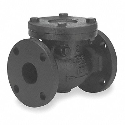 Swing Check Valve Iron 2-1/2 Flange MPN:2974-M 2 1/2