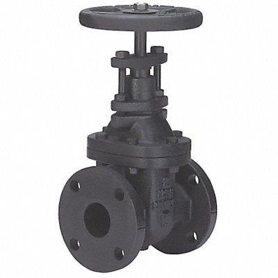 Gate Valve Class 125 2 In. MPN:2882-M 2