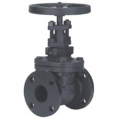 Gate Valve Class 125 2-1/2 In. MPN:2882-M26 2 1/2