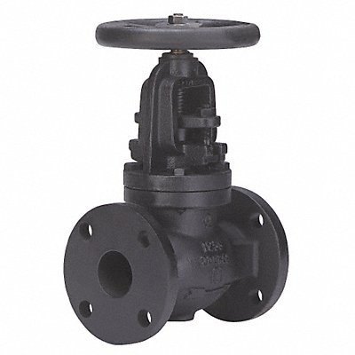 Globe Valve 2-1/2 Iron Flange 125 psi MPN:2981-M 2-1/2