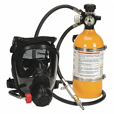 Supplied Air Respirator Full Facepiece MPN:10108496