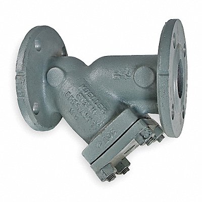 Y Strainer 8 1/4 H 0.062 Perf MPN:21/2 781 CS-N Flanged