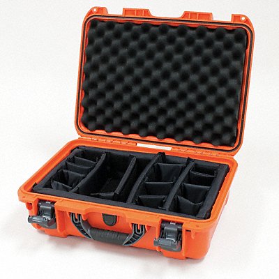 ProtCase 4.30 in PwrClwLtcSys/PdLk Or MPN:925S-020OR-0A0