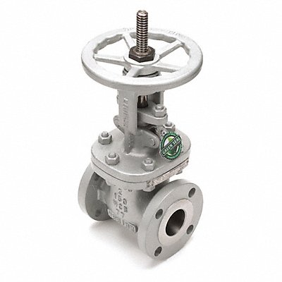 Gate Valve 10 in Carbon Steel MPN:10-11F-CB2