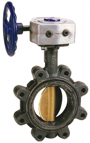 Manual Lug Butterfly Valve: 12