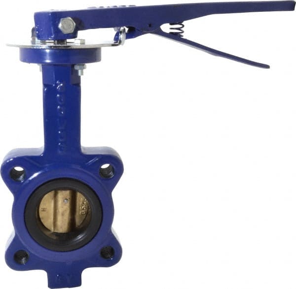 Manual Lug Butterfly Valve: 2