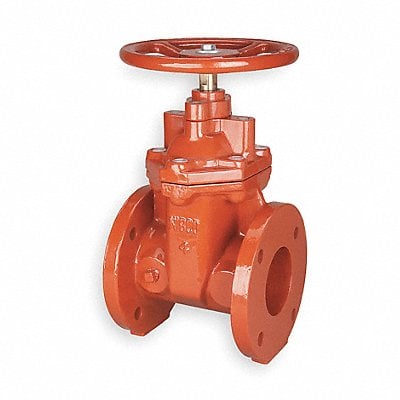 Gate Valve Class 125 2 in Flange MPN:F619RW 2