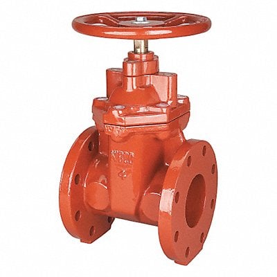 Gate Valve Class 125 3 in Flange MPN:F619RW 3