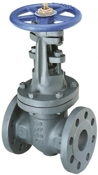 Gate Valve: OS & Y, 2-1/2