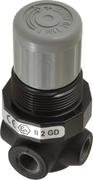 Relief Air Valve: Knob Adjustment Actuator, 1 Position, 1/8