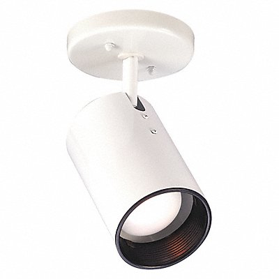 Flush Fixture 1L R20 Str Cylinder White MPN:SF76-412