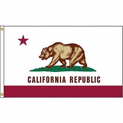 D3771 California Flag 4x6 Ft Nylon MPN:140470