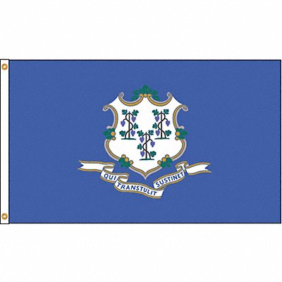 D3771 Connecticut Flag 4x6 Ft Nylon MPN:140770