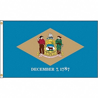 D3771 Delaware Flag 4x6 Ft Nylon MPN:140870