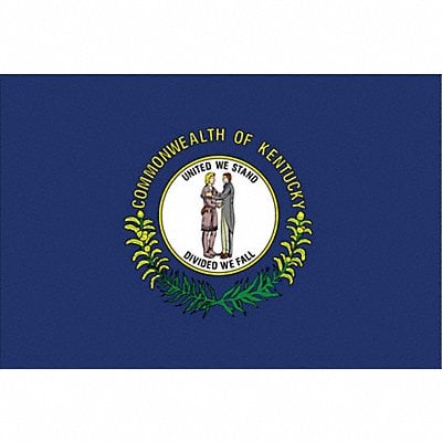 D3761 Kentucky State Flag 3x5 Ft MPN:141960