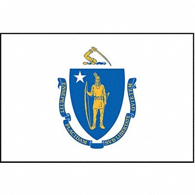 D3761 Massachusetts State Flag 3x5 Ft MPN:142460